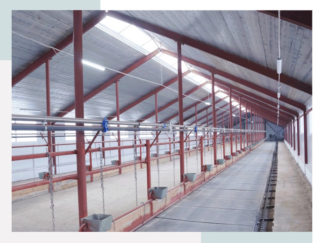 Строительство коровников в Белгороде от 623 руб.