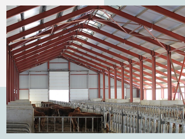 Строительство коровников в Белгороде