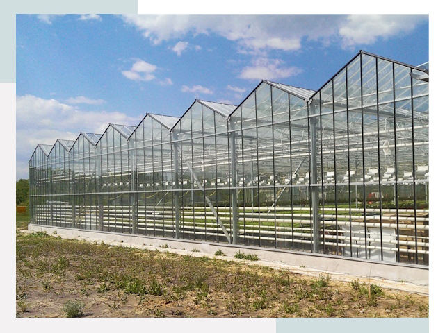 Строительство теплиц в Белгород от 623 руб. за м²